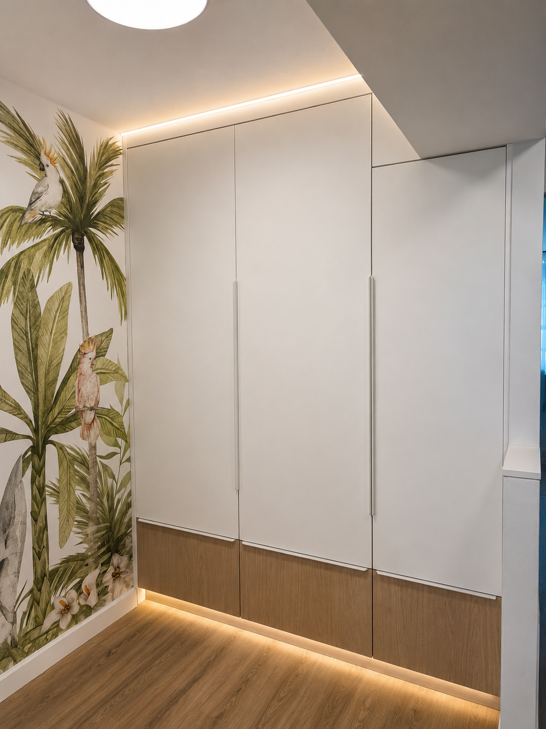 Closets — Oh My Cabinets Miami portfolio
